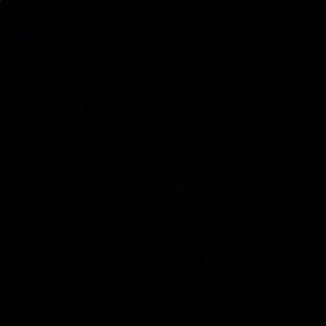 Meet your Posher, Joy